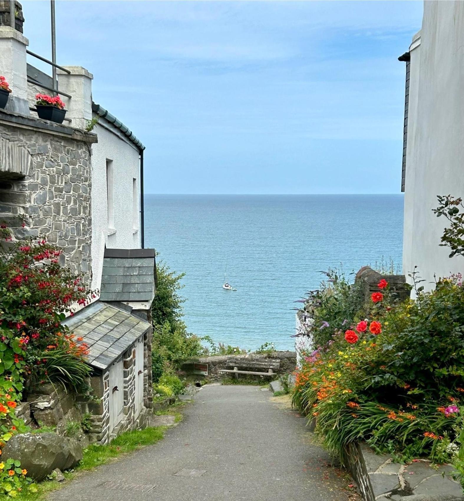 Cosy Boathouse Cottage By The Sea With Log Burner Bucks Mills Экстерьер фото
