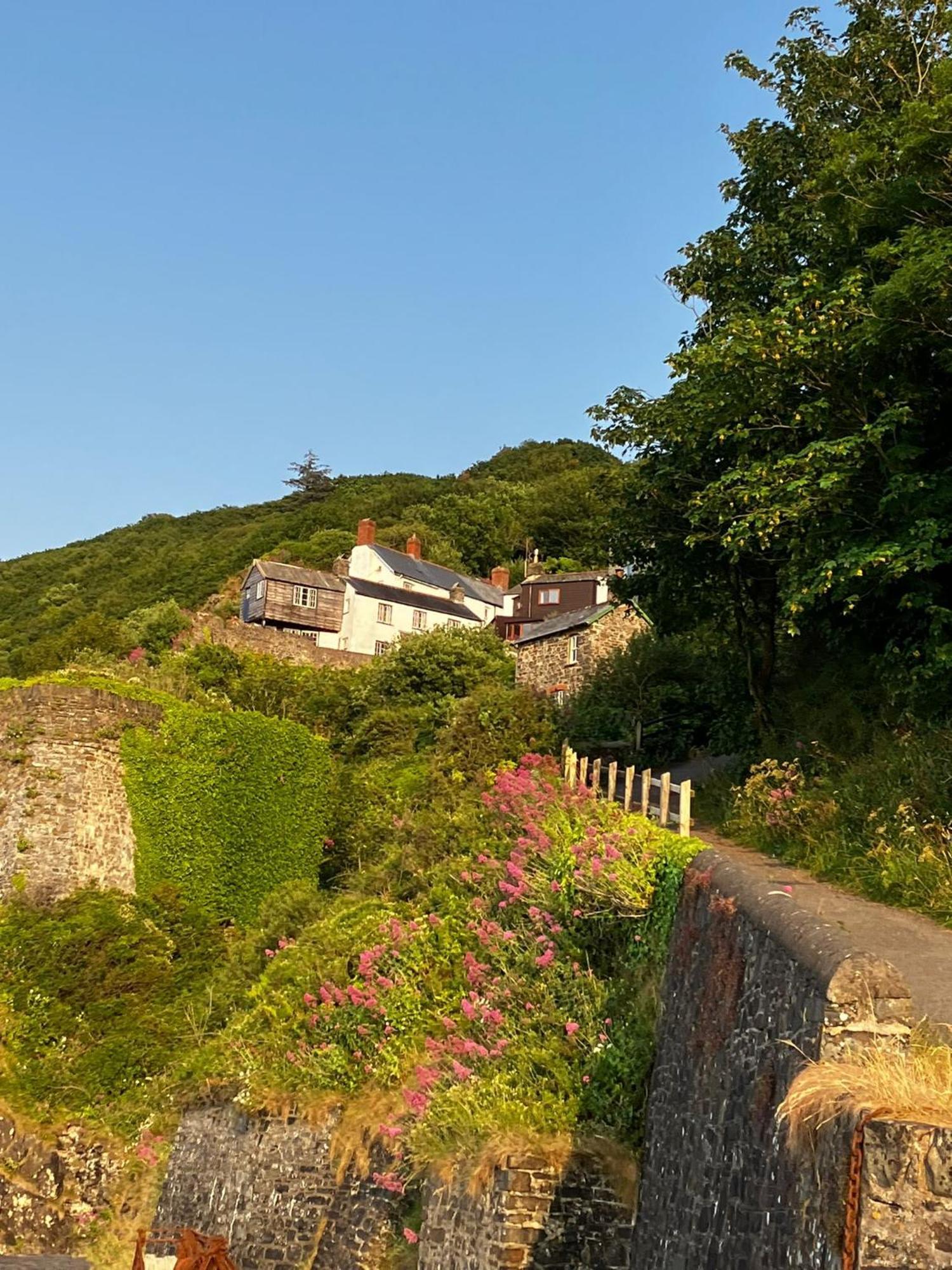 Cosy Boathouse Cottage By The Sea With Log Burner Bucks Mills Экстерьер фото